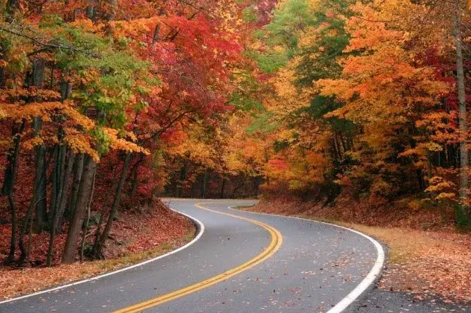 poconos fall foliage